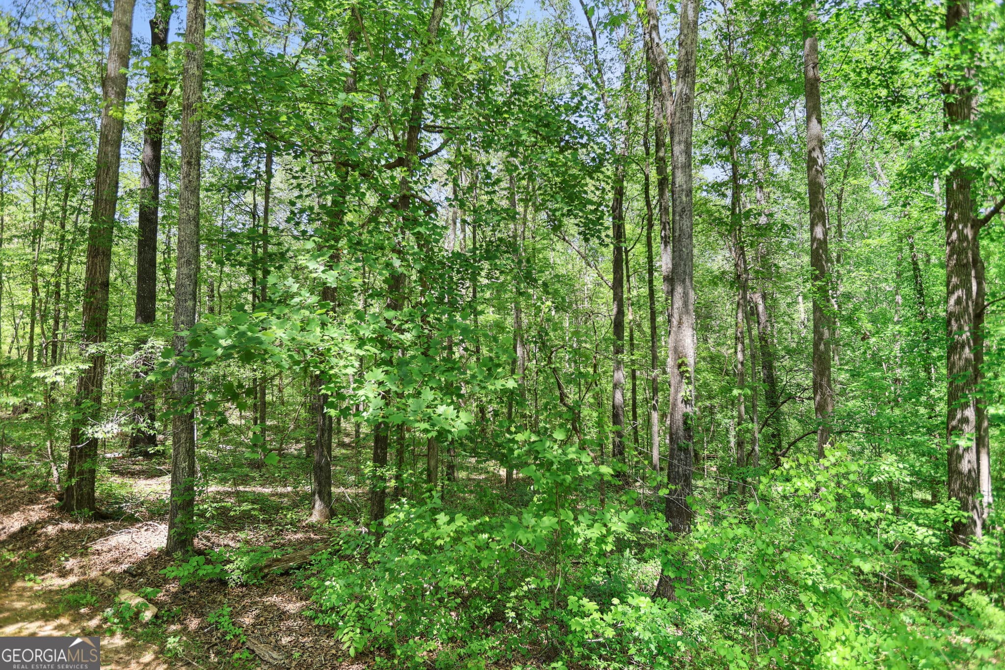 107 Trisha Ln — photo 50