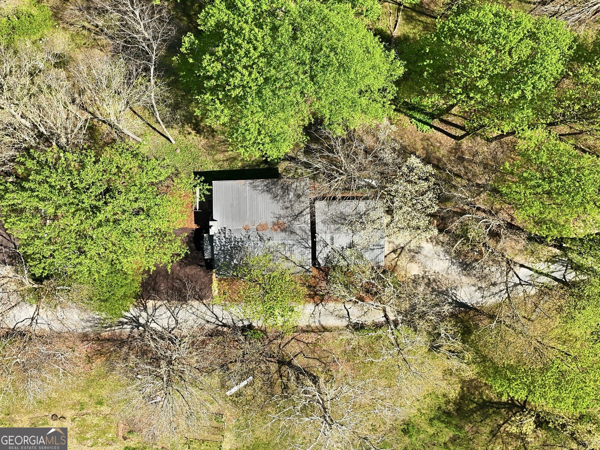 183 Dogwood Ct — photo 33