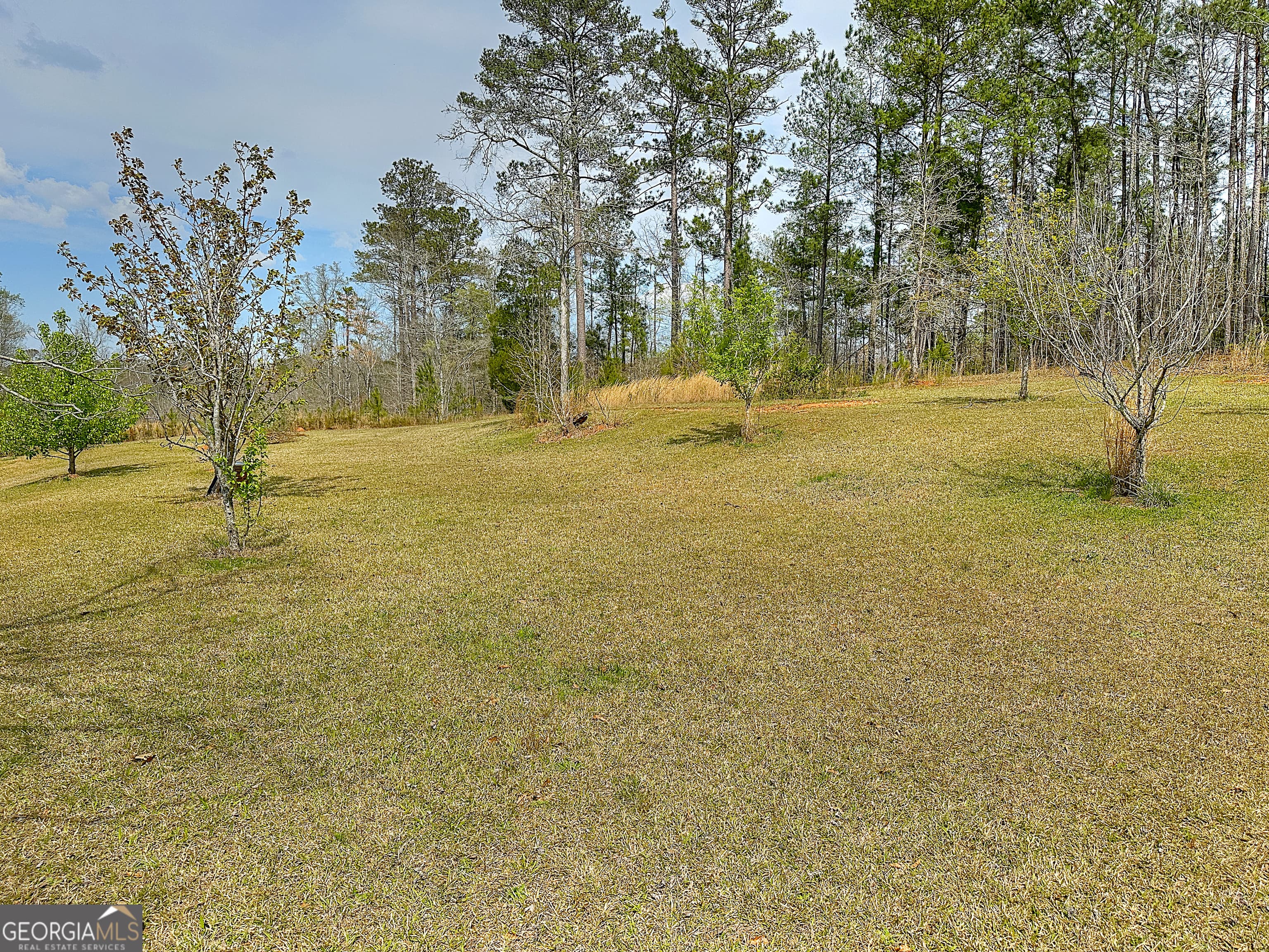 4642 New Franklin Rd — photo 54