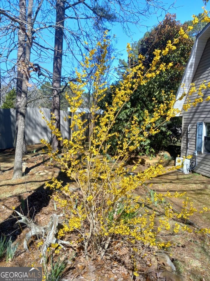 175 Loblolly Ln — photo 62