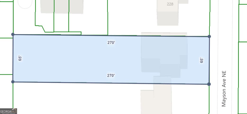 204 Mayson Ne Ave — photo 3