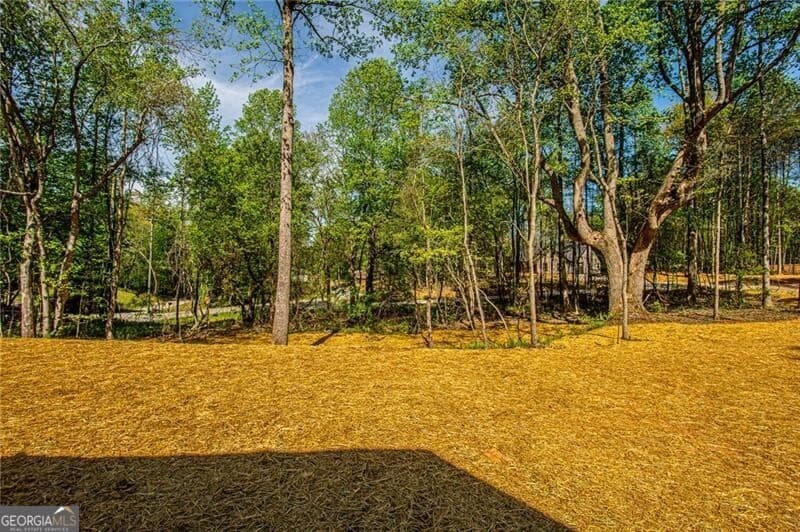 20 Eloise Way — photo 48