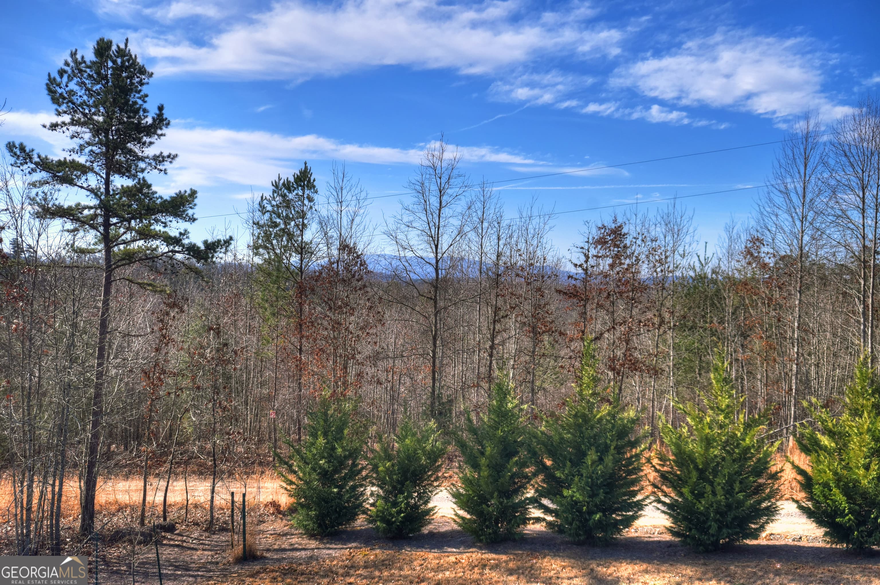 1038 Synacia Dr — photo 56