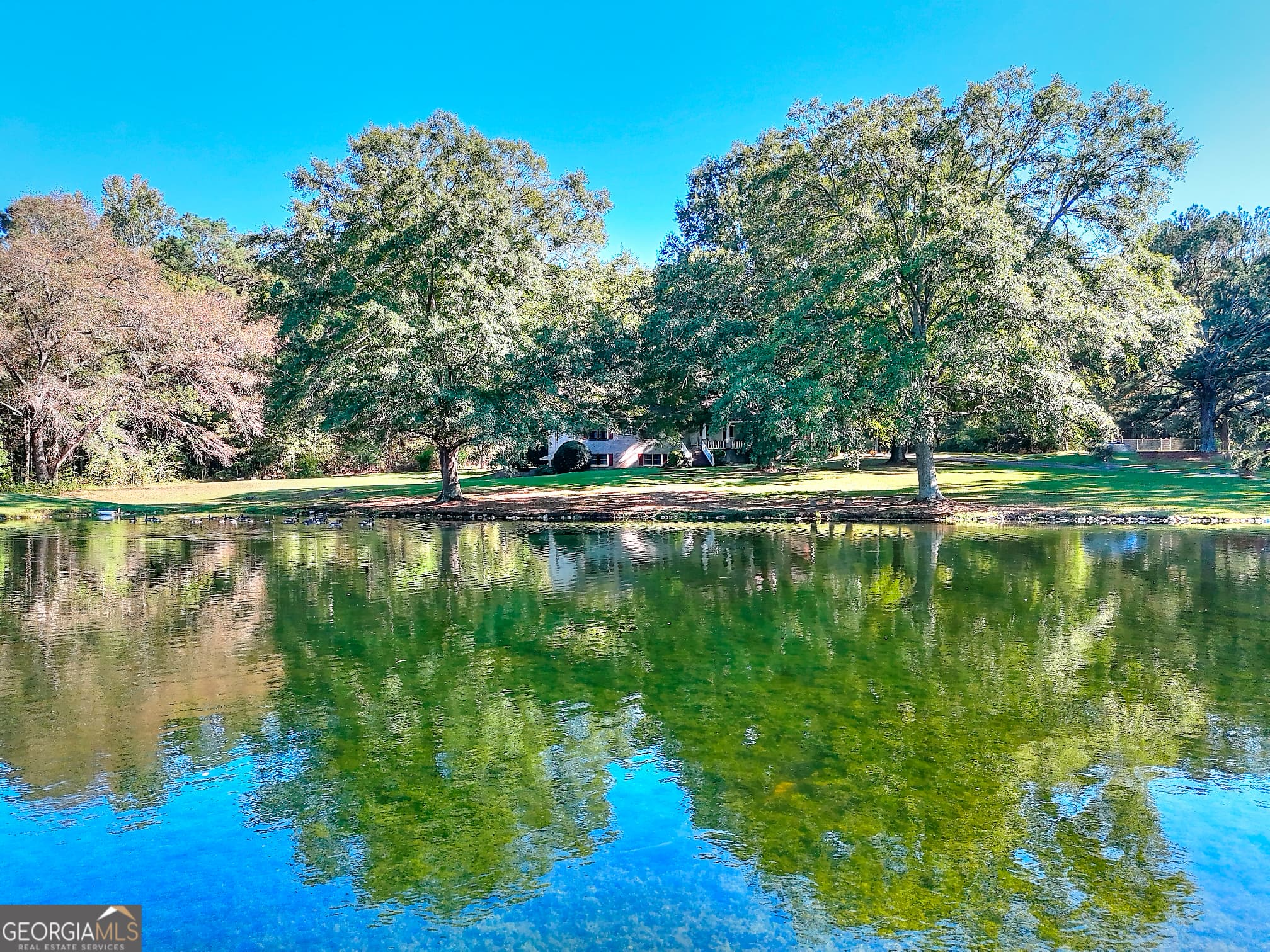 3520 Tom Brewer Rd — photo 62