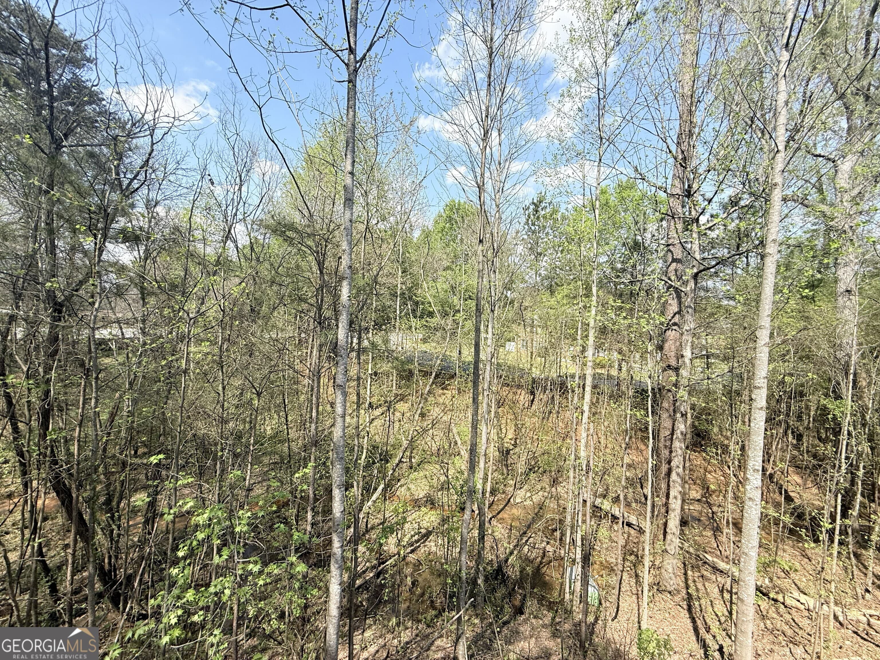 3481 Dianthus Ln — photo 37