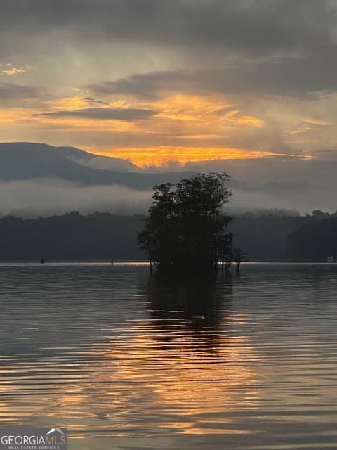 892 Cypress Pointe Ln — photo 91