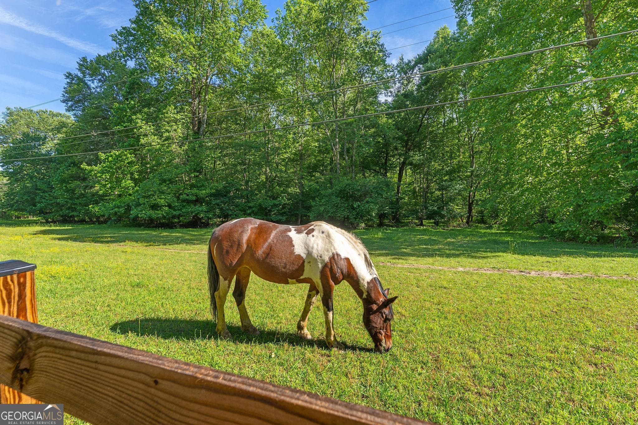 1356 Woodbrier — photo 55