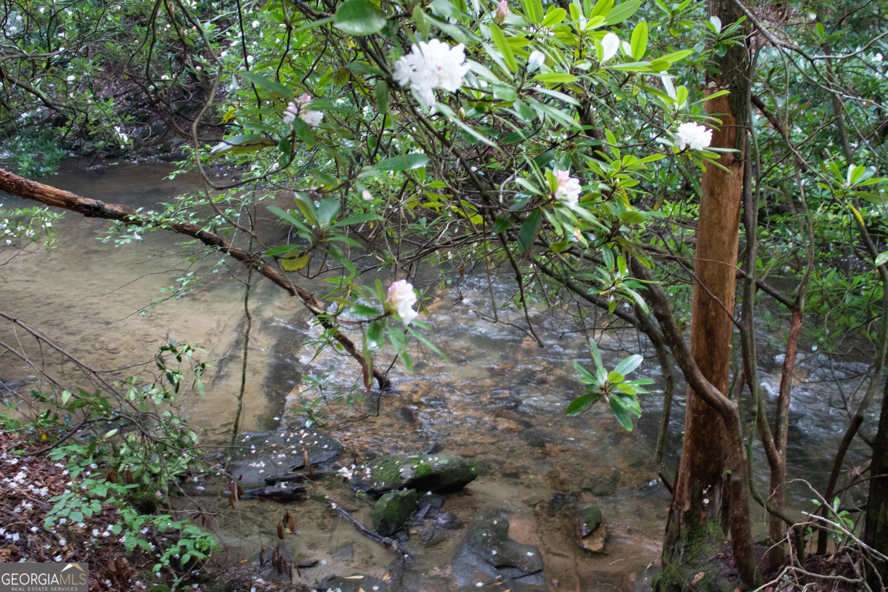 1990 Big Creek Rd — photo 27