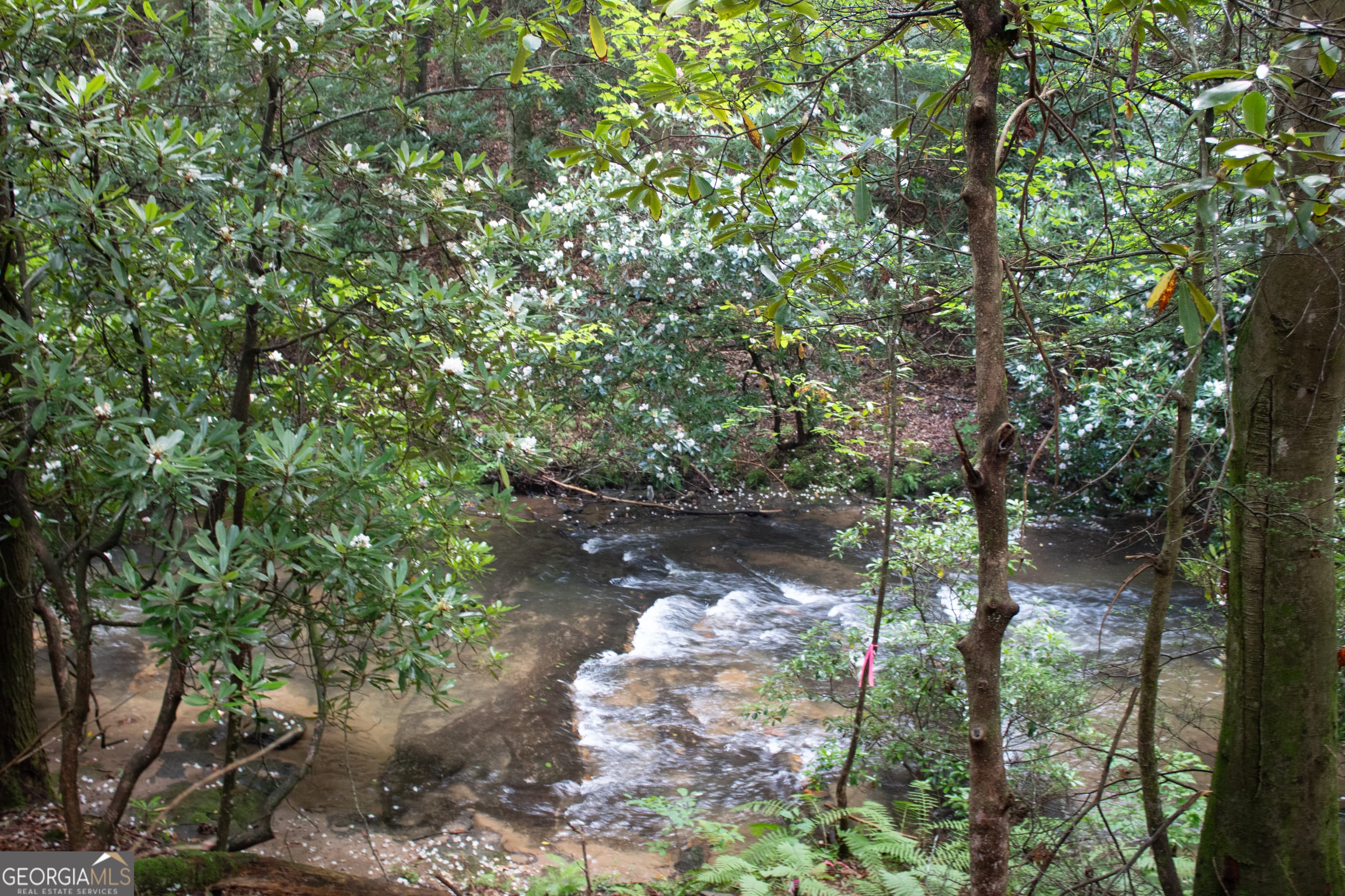 1990 Big Creek Rd — photo 2