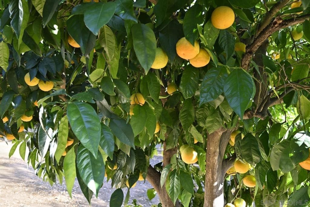 2826 Calle De Malibu — photo 45