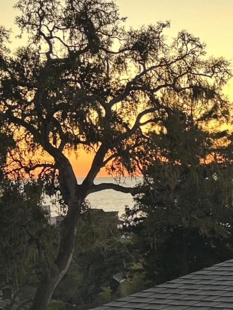 204 Highland Dr — photo 58