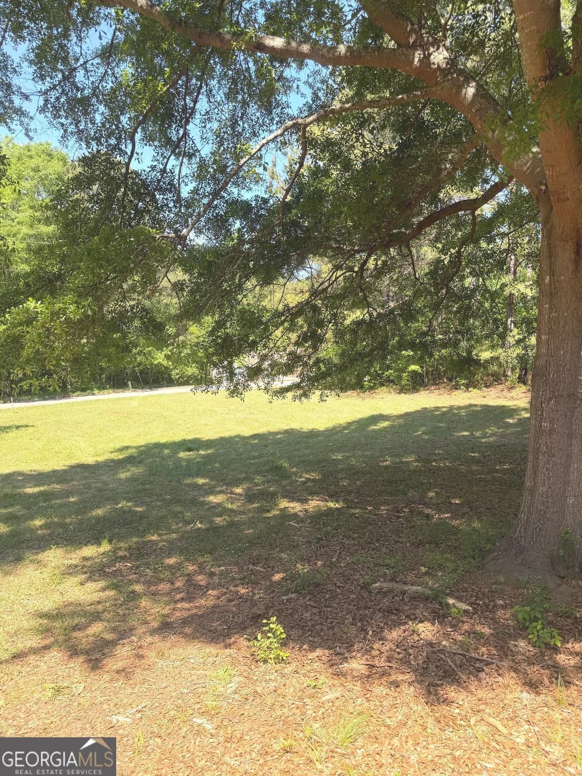 170 Ashley Trace Dr — photo 23