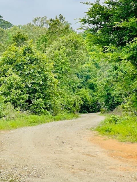 2665 County Rd 3940 — photo 2