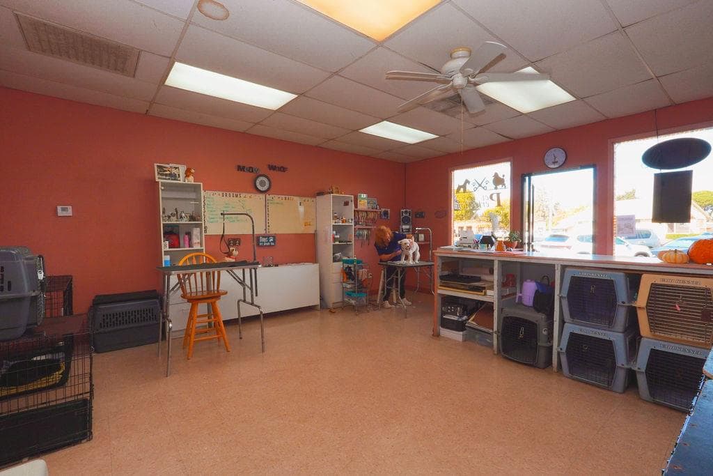 Property image 8
